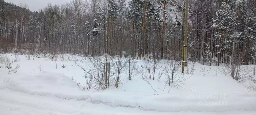 Участок в Бурятия, Баргузинский район, с. Максимиха  (10.0 сот.) - Фото 0