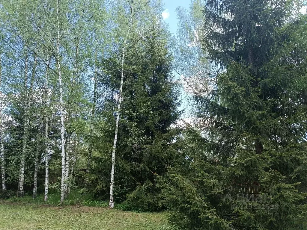 Дом в Московская область, Рузский муниципальный округ, Долматово ... - Фото 1