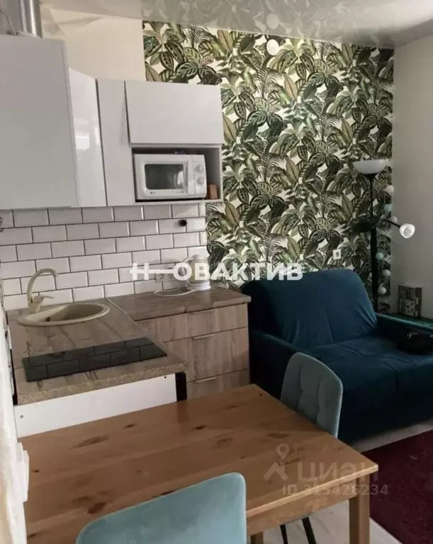 Студия Новосибирская область, Новосибирск ул. Надежды, 2 (25.0 м) - Фото 0