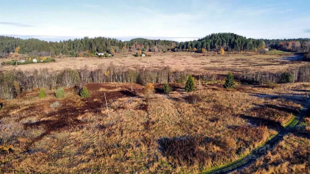 Участок в Карелия, Лахденпохский муниципальный округ, Куркиекское ... - Фото 2