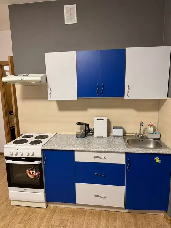 Студия Санкт-Петербург Туристская ул., 22 (24.0 м) - Фото 2