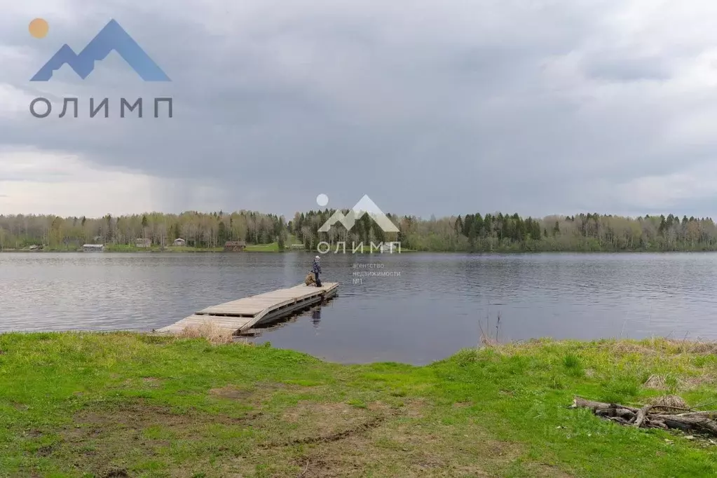 Участок в Вологодская область, Шекснинский муниципальный округ, д. ... - Фото 2