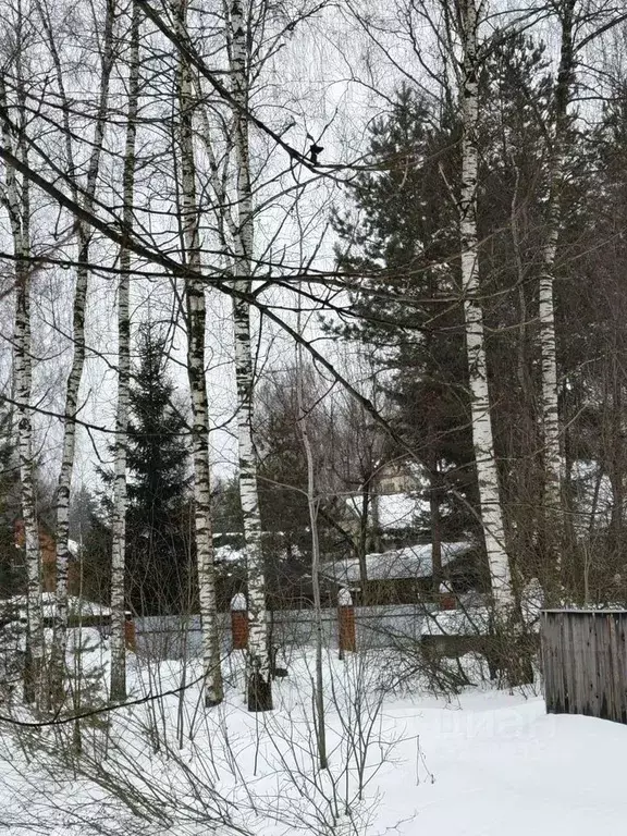 Участок в Московская область, Раменский муниципальный округ, Быково ... - Фото 2