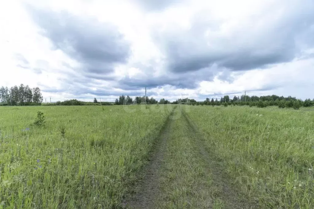 Участок в Тюменская область, Тюменский муниципальный округ, д. Елань  ... - Фото 1