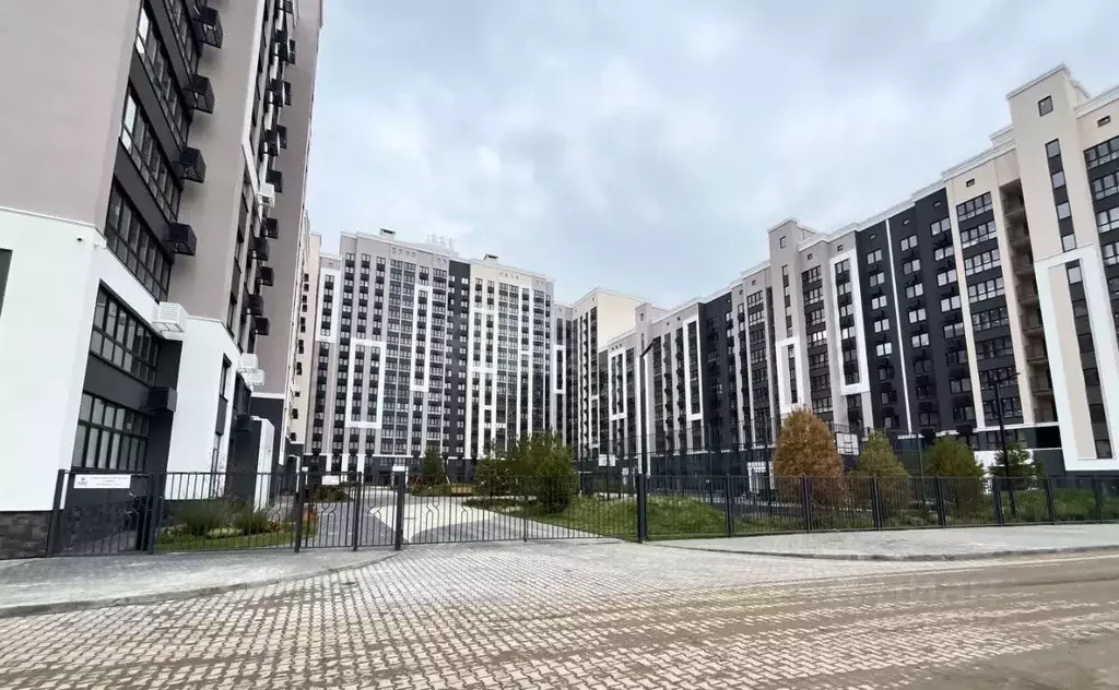 Студия Саратовская область, Энгельс Энгельс-9 мкр, 2 (24.1 м) - Фото 1