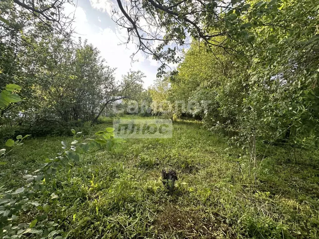 Участок в Нижегородская область, Бор Труд ТСН,  (5.0 сот.) - Фото 1