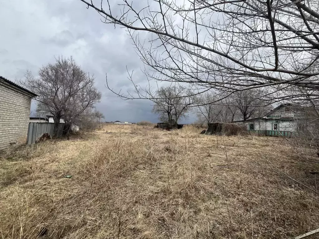 Участок в Приморский край, с. Михайловка ул. Красноармейская, 2 (81.47 ... - Фото 0