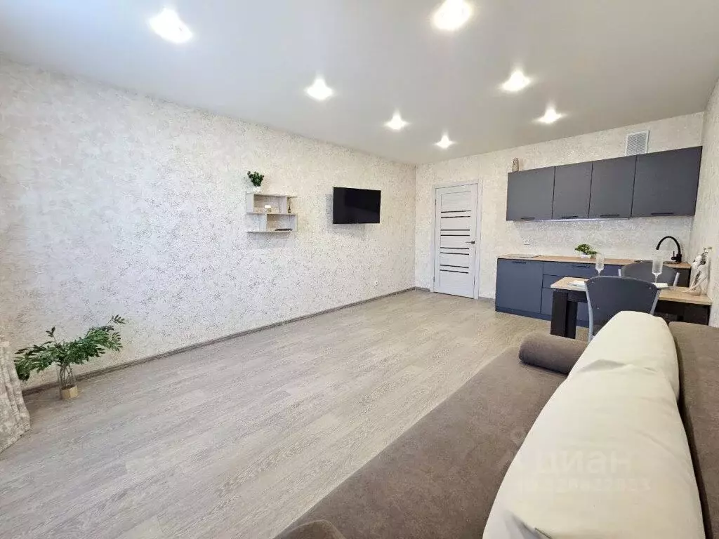 Студия Амурская область, Благовещенский район, с. Чигири Восточная ... - Фото 2