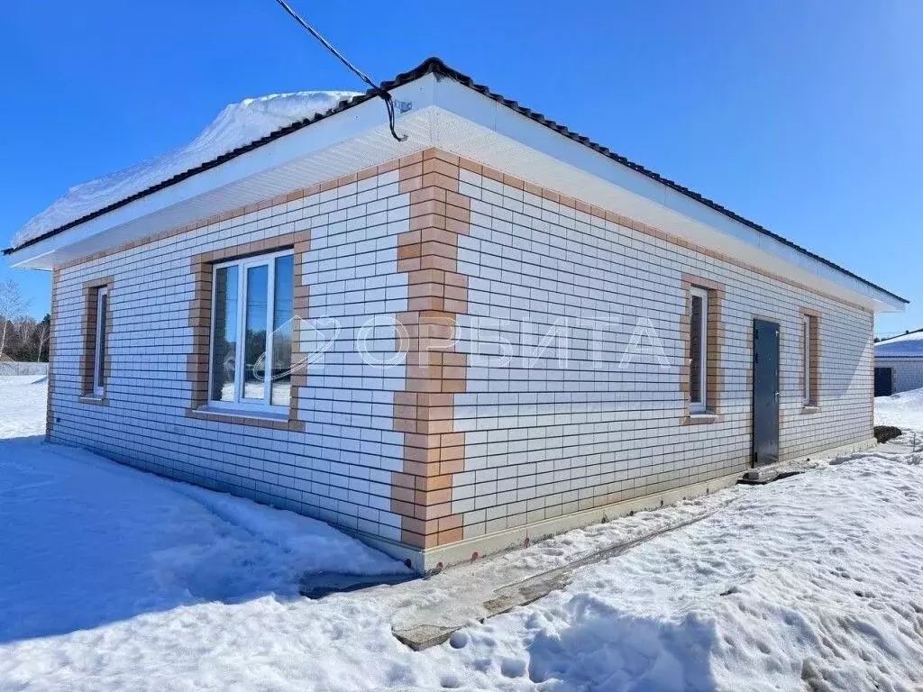 Дом в Тюменская область, Нижнетавдинский муниципальный округ, с. ... - Фото 2