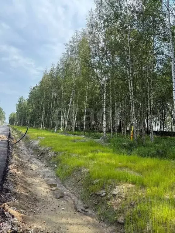 Участок в Санкт-Петербург, Санкт-Петербург, Павловск  (5.0 сот.) - Фото 0