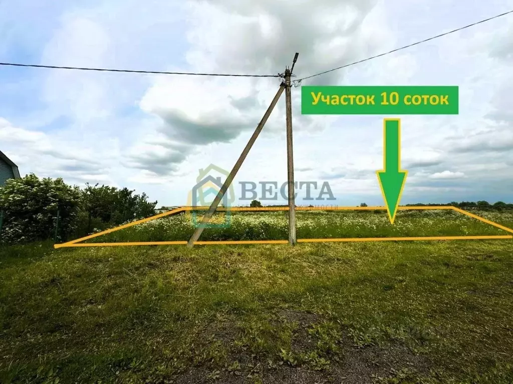 Участок в Ленинградская область, Ломоносовский район, Виллозское ... - Фото 1