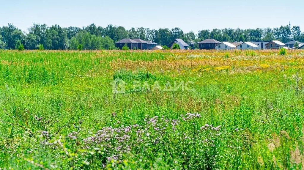 Участок в Московская область, Старая Купавна Богородский городской ... - Фото 0