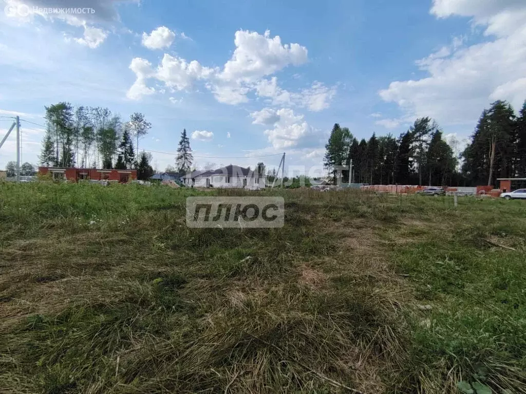Участок в деревня Турейка, территория СПК Покровское (7.45 м) - Фото 1