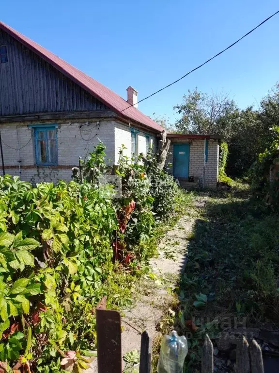 Дом в Липецкая область, Долгоруковский сельсовет, д. Екатериновка ул. ... - Фото 1