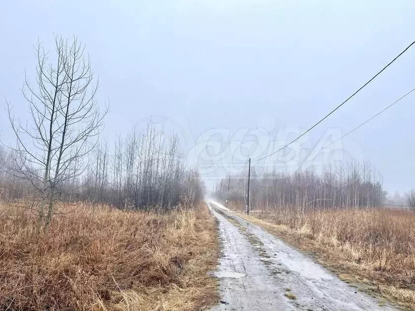 Участок 10 сот. (СНТ, ДНП) - Фото 0