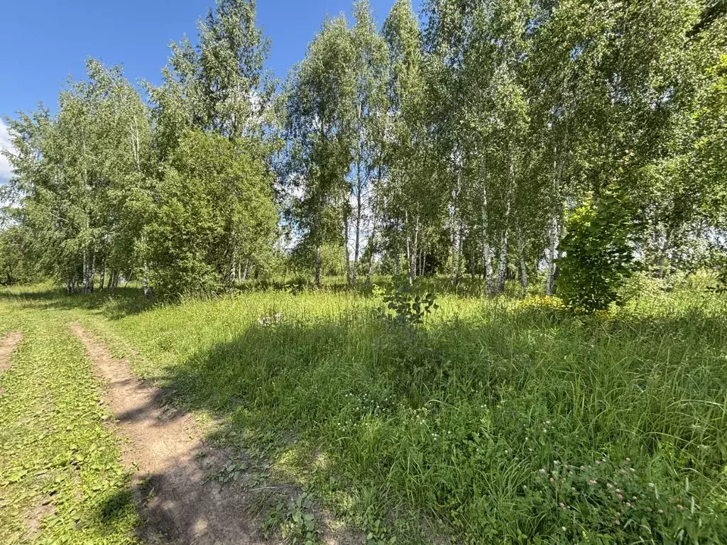 Участок в Московская область, Луховицы ул. Живописная, 6 (11.9 сот.) - Фото 2