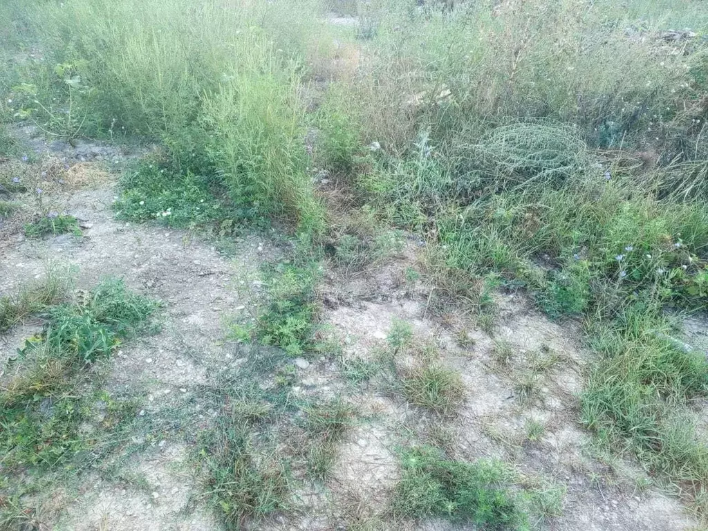 Участок в Краснодарский край, Новороссийск городской округ, Победа ... - Фото 2