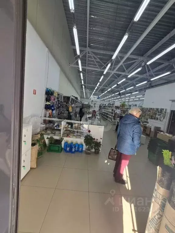 Помещение свободного назначения в Удмуртия, Ижевск Магистральная ул., ... - Фото 2