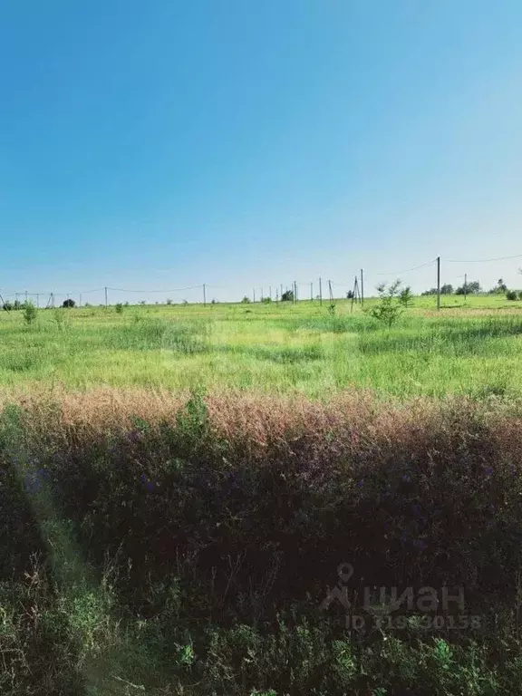 Участок в Саратовская область, Балашовский район, Хоперское ... - Фото 1