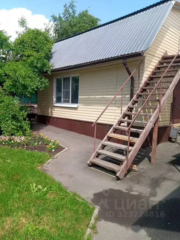 Дом в Алтайский край, Белокуриха ул. Шукшина, 14/2 (28 м) - Фото 1