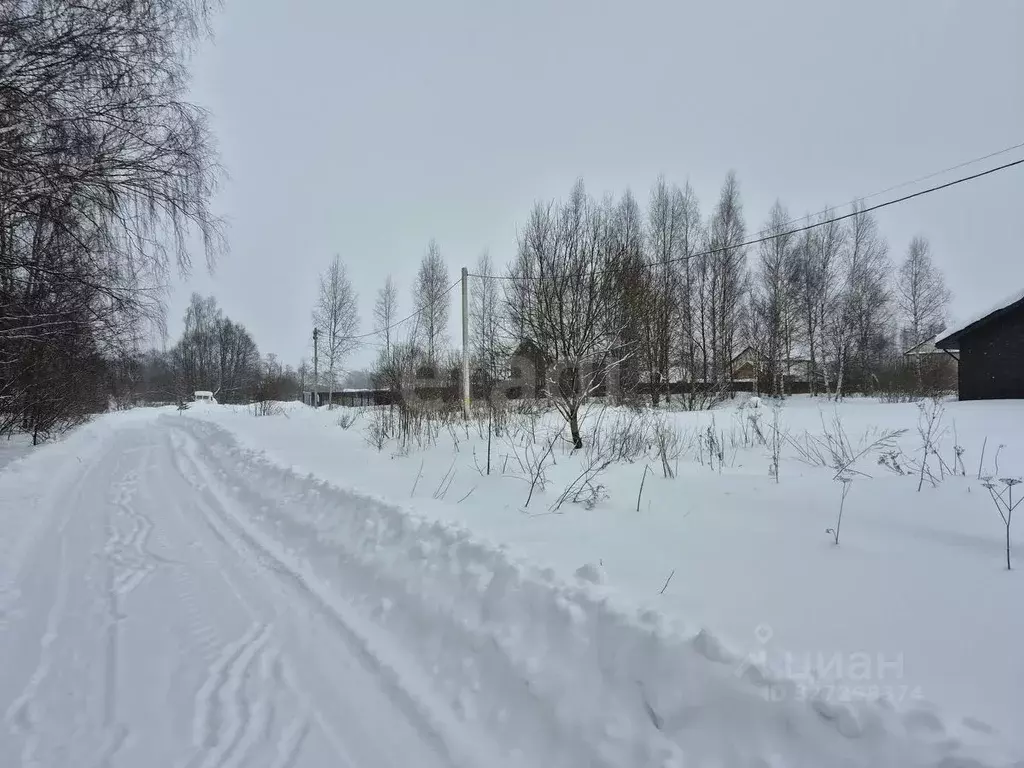 Участок в Ярославская область, Некрасовский муниципальный округ, д. ... - Фото 1