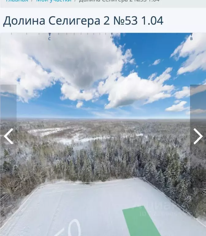 Участок в Тверская область, Ржевский муниципальный округ, д. Холнино  ... - Фото 1