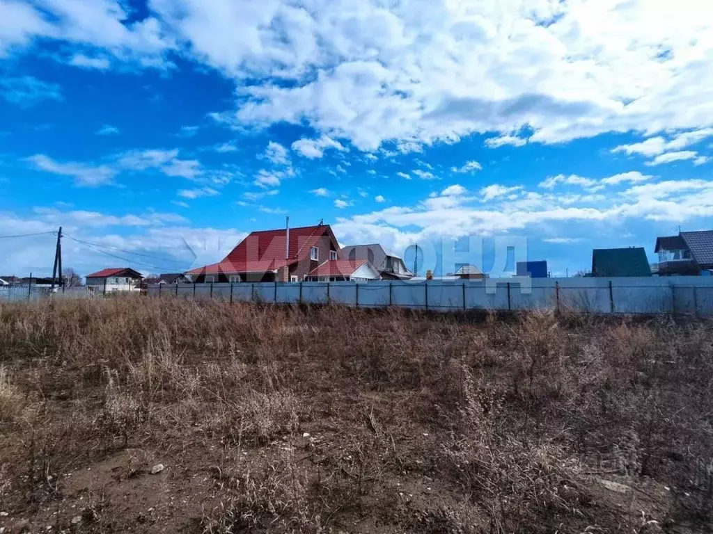 Участок в Новосибирская область, Бердск Заречное садовое товарищество, ... - Фото 2
