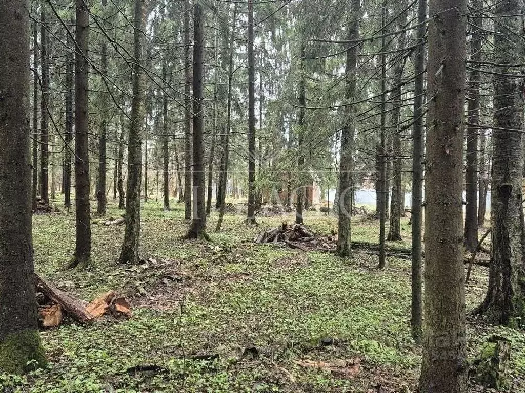 Участок в Московская область, Одинцовский городской округ, д. Дарьино  ... - Фото 2