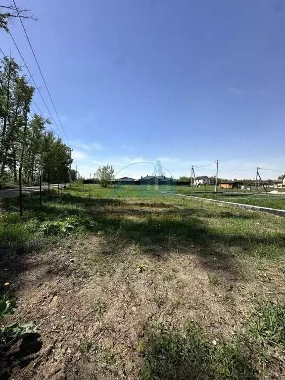 Участок в Владимирская область, Муром с. Дмитриевская Слобода, ул. ... - Фото 2