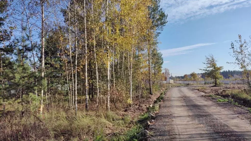 Участок в Московская область, Балашиха городской округ, с. Новый Милет ... - Фото 1