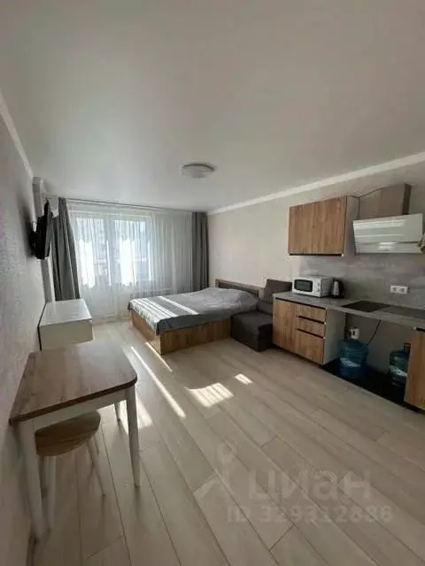 Студия Краснодарский край, Анапа ул. Ленина, 235 (28.0 м) - Фото 1