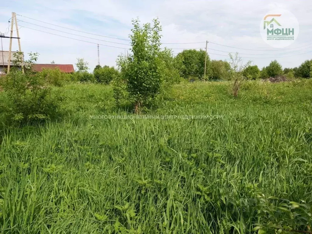 Участок в Карелия, Прионежский район, Заозерское с/пос, д. Ялгуба ул. ... - Фото 0