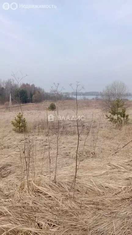 Участок в Калужская область, Боровский муниципальный округ, деревня ... - Фото 1