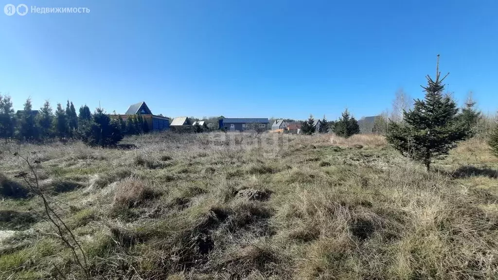 Участок в Янтарный городской округ, посёлок Синявино (10.1 м) - Фото 0