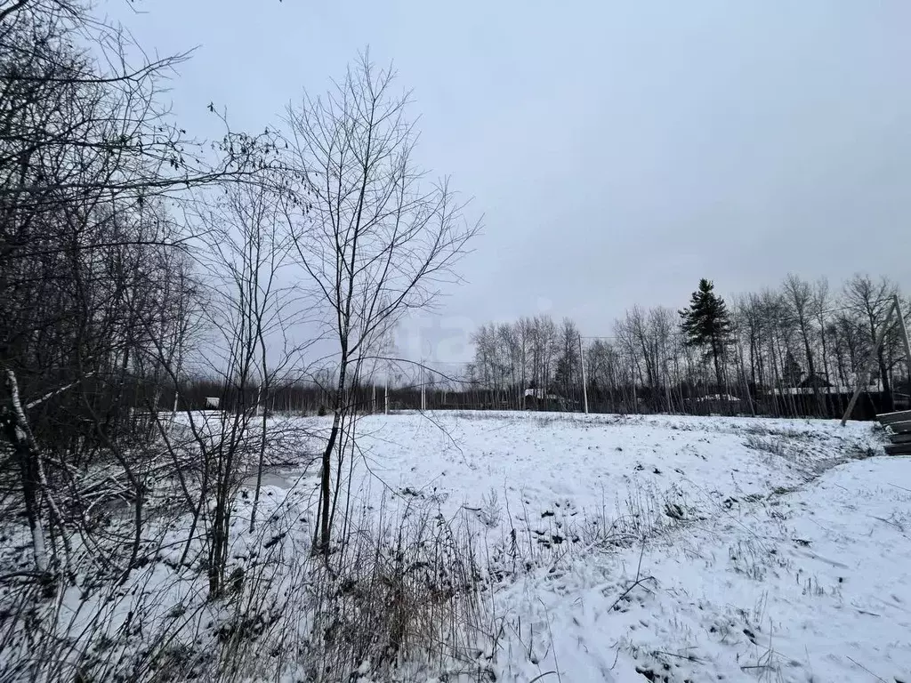 Участок в Архангельская область, Приморский муниципальный округ, ... - Фото 1