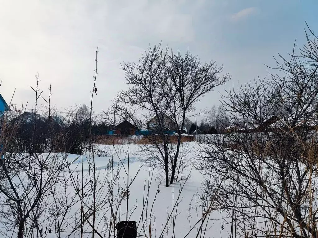 Участок в Новосибирская область, Коченевский район, Ветеран садовое ... - Фото 2