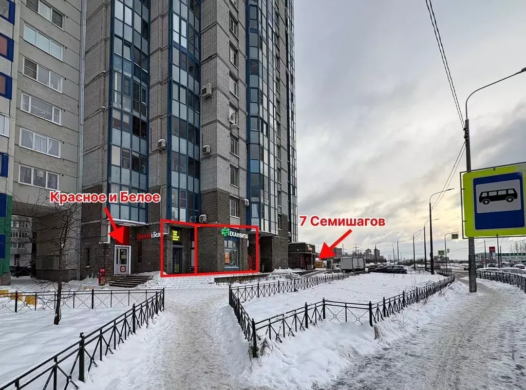 Помещение свободного назначения в Санкт-Петербург ул. Димитрова, ... - Фото 2