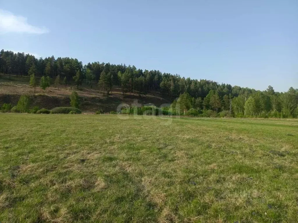 Участок в Иркутская область, Шелеховский район, Баклашинское ... - Фото 1