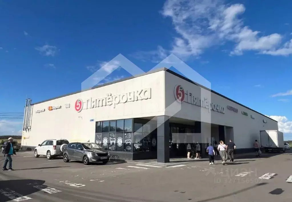 Помещение свободного назначения в Московская область, Домодедово Белые ... - Фото 1