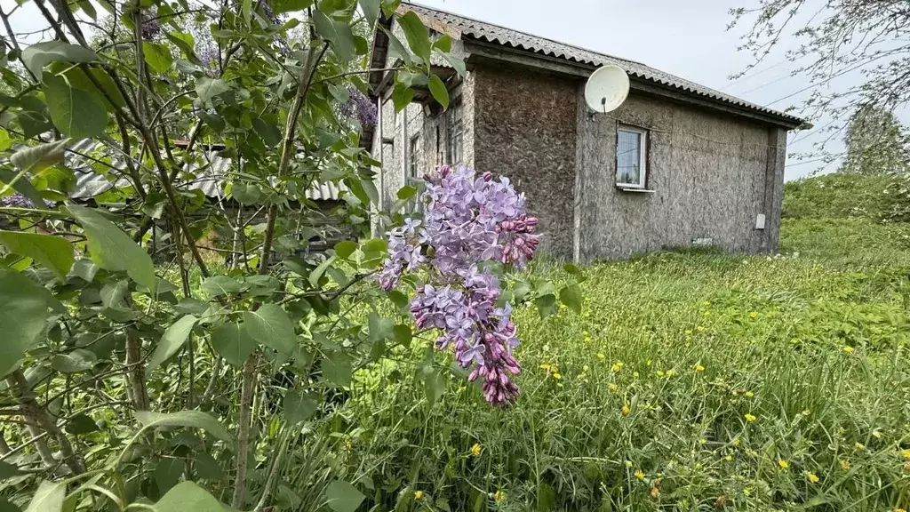 Дом в Новгородская область, Любытинский район, Неболчи рп ул. ... - Фото 0