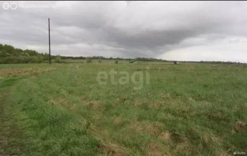 Участок в муниципальное образование Саратов, посёлок Вязовка (20 м) - Фото 1