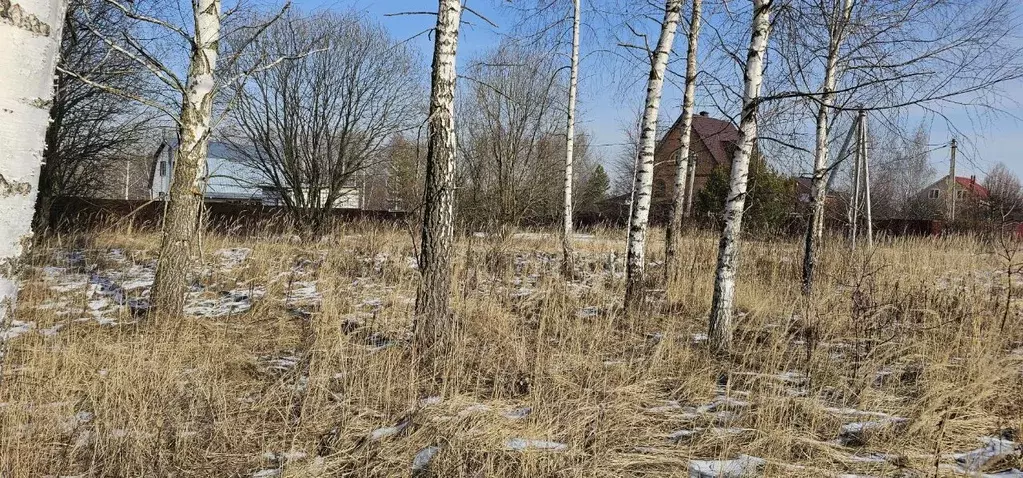 Участок в Московская область, Луховицы  (12.0 сот.) - Фото 1