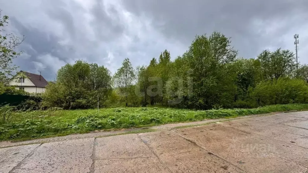 Участок в Архангельская область, Приморский муниципальный округ, ... - Фото 1