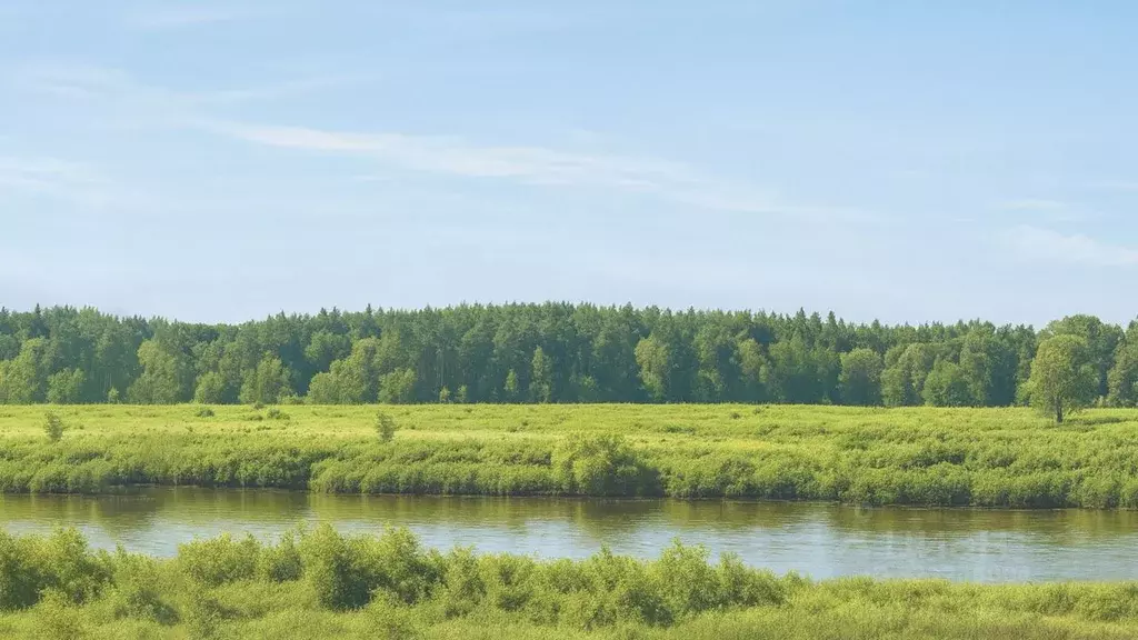 Участок в Московская область, Одинцовский городской округ, с. ... - Фото 1
