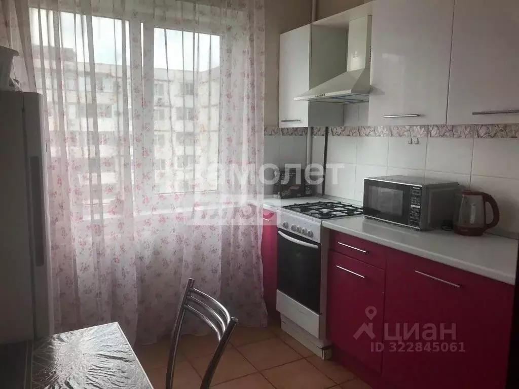 1-к кв. Краснодарский край, Новороссийск Волгоградская ул., 42 (31.0 ... - Фото 1