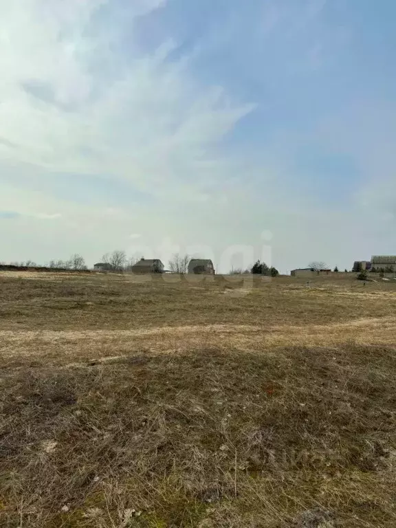 Участок в Ростовская область, Белокалитвинский район, Нижнепоповское ... - Фото 2