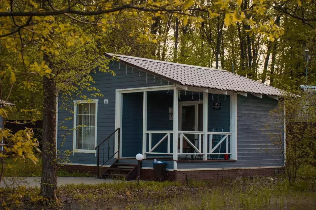 Дом в Воронежская область, с. Новая Усмань  (27 м) - Фото 1