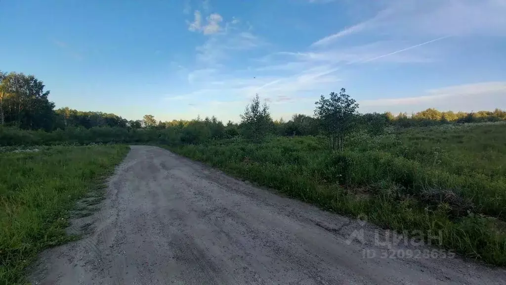 Участок в Владимирская область, Владимир д. Шепелево,  (336.0 сот.) - Фото 1