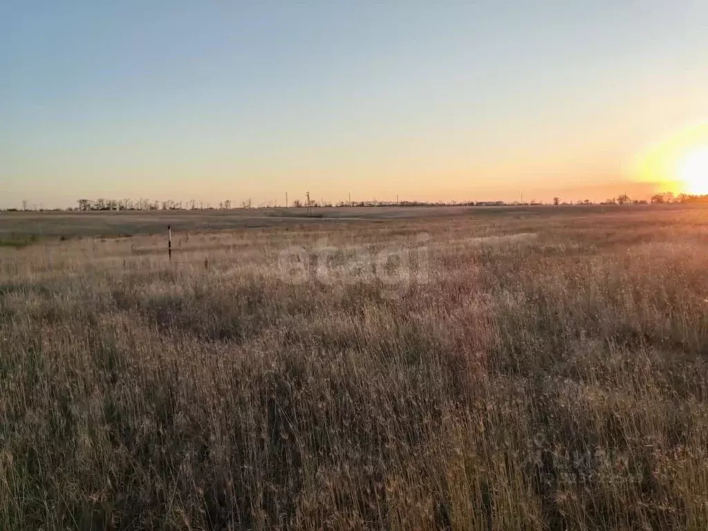 Участок в Крым, Симферопольский район, Николаевка пгт  (6.0 сот.) - Фото 2