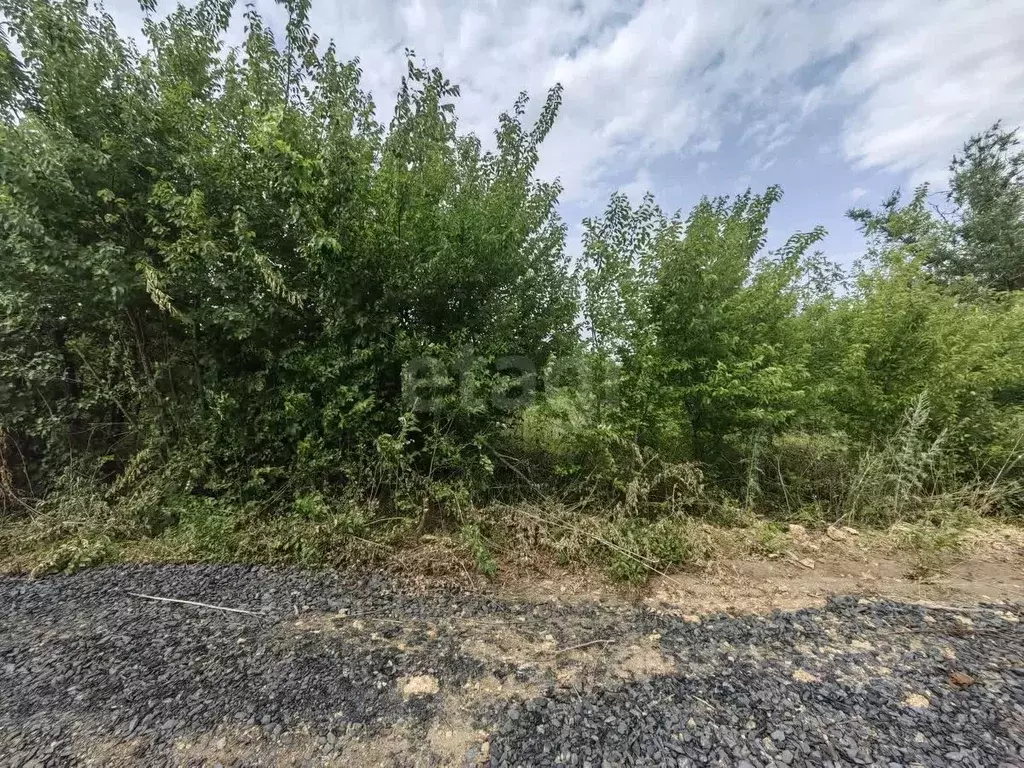 Участок в Ростовская область, Родионово-Несветайский район, ... - Фото 2